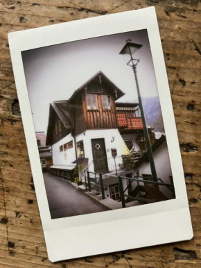 PinkDeer Hallstatt